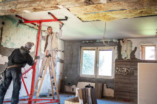 Best Insulation Repair Services  in Baird, TX